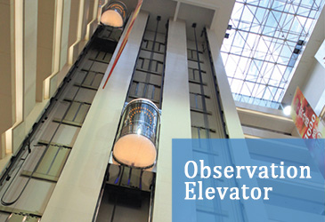 Observation Elevator