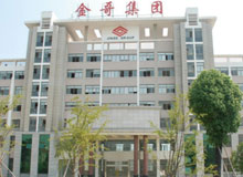 Zhejiang Jinge Group Corporation 12T Freight Elevator Project